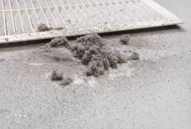Best Affordable Duct Cleaning Services  in Napervle, IL