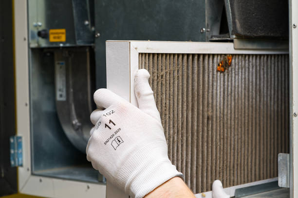 Best Home Air Vent Cleaning  in Napervle, IL