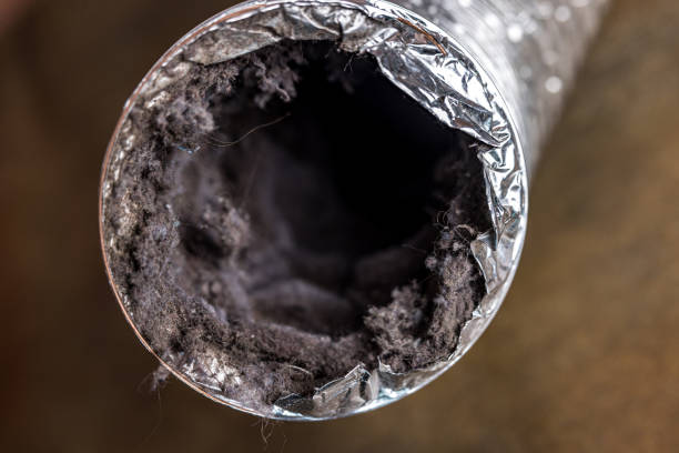 Best Ductwork Cleaning Services  in Napervle, IL