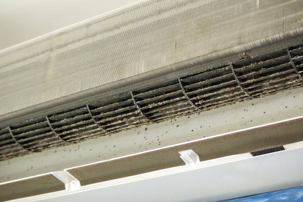 Best Ventilation Cleaning Services  in Napervle, IL