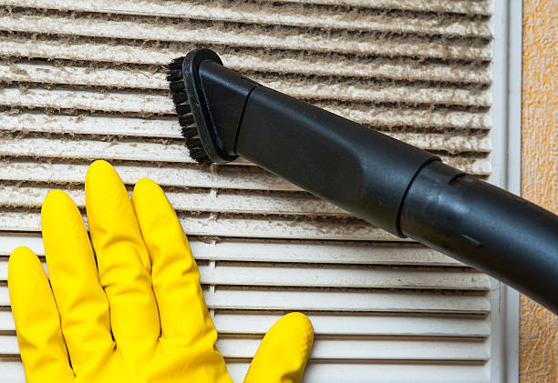 Best Commercial HVAC Duct Cleaning  in Napervle, IL